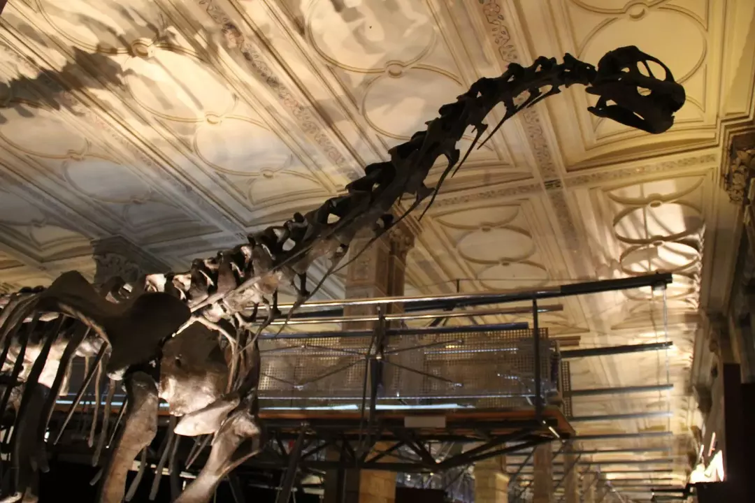 Бліканазавр: 17 фактів, у які ви не повірите!