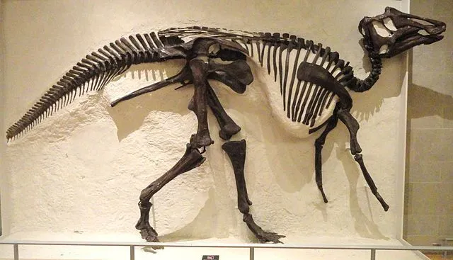 Szórakoztató tények a Prosaurolophusról gyerekeknek
