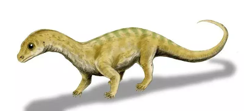 19 фактів про Dino-mite Pradhania, які сподобаються дітям