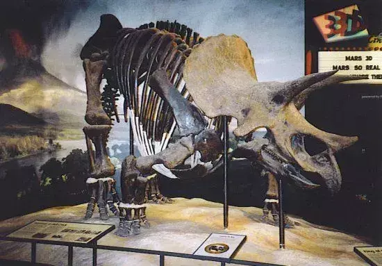 17 datos sobre el dino-ácaro Coelosaurus que a los niños les encantarán
