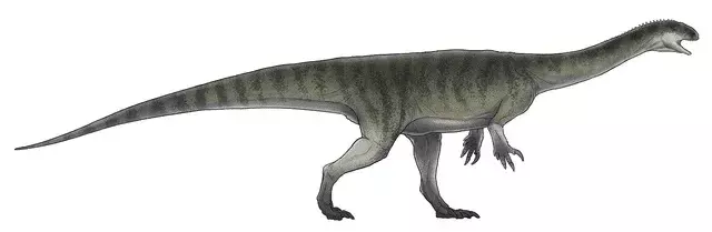 Jingshanosaurus की एक लंबी और संकरी खोपड़ी थी जिसमें 39-40 दांत थे!