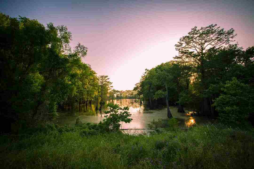 De verborgen geschiedenis van de rivier de Mississippi die u moet weten