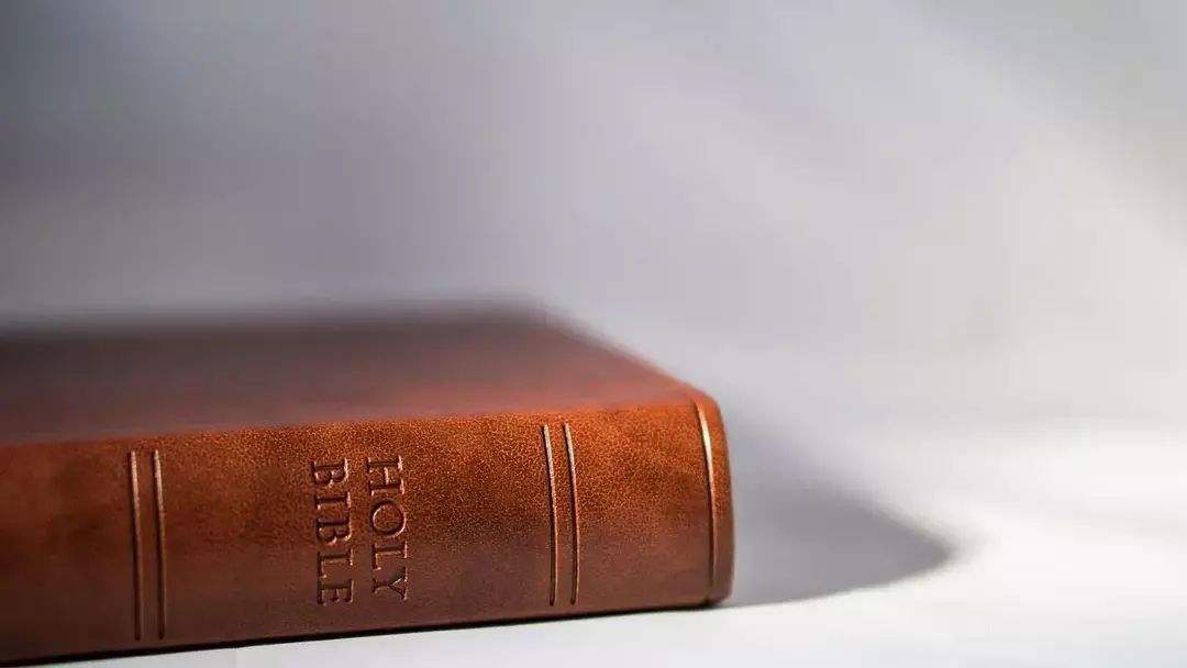 Quel est le livre le plus court de la Bible? Faits de sagesse biblique pour les enfants