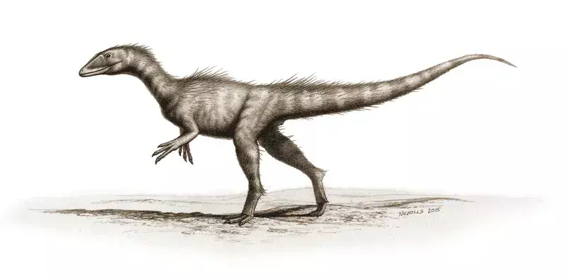 Steve Vidovic tarafından açıklanan en eski Jurassic dinozor- Dracoraptor hanigani hakkında, Galler'de keşfedilen çocuk örneğinin iskeletiyle ilgili ayrıntılar da dahil olmak üzere eğlenceli gerçekler.