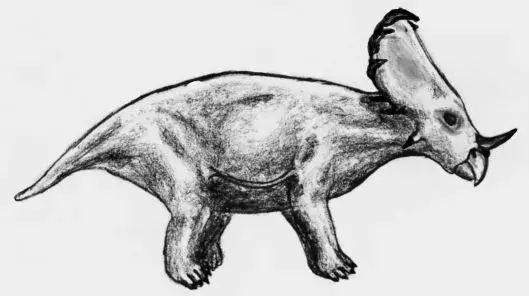 Vai tu zināji? 15 neticami Sinoceratops fakti