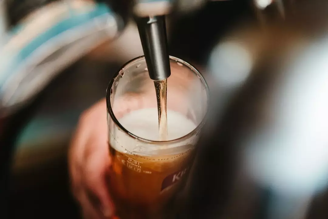 Como é feita a cerveja de raiz? Tudo o que você precisa saber