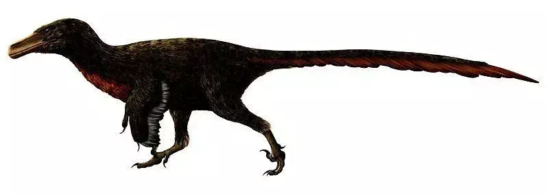17 lucruri pe care nu le vei uita niciodată despre Adasaurus