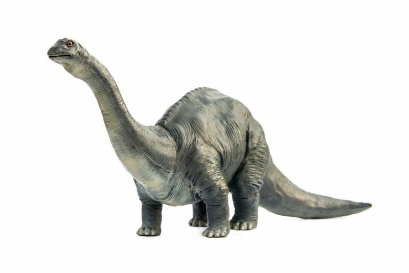 Brachiosaurus Vs Brontosaurus Todos os fatos sobre antigos gigantes extintos