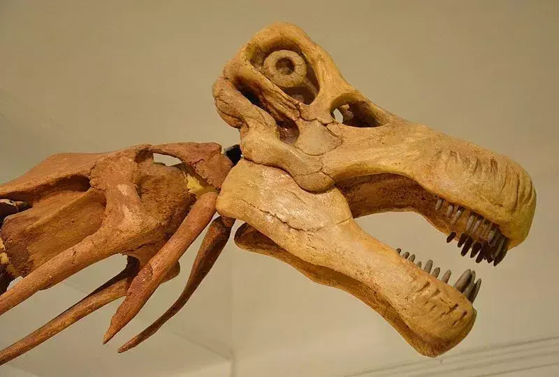 Se credea că Nemegtosaurus are culori diferite.