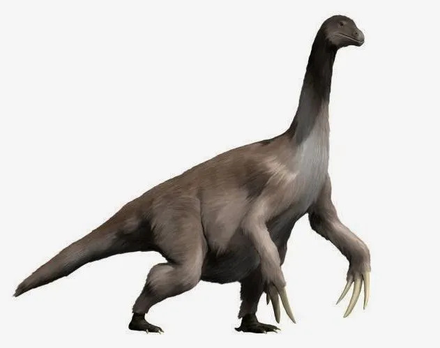 Цікаві факти про Енігмозавра, включаючи його вагу, довжину, форму та дієту.