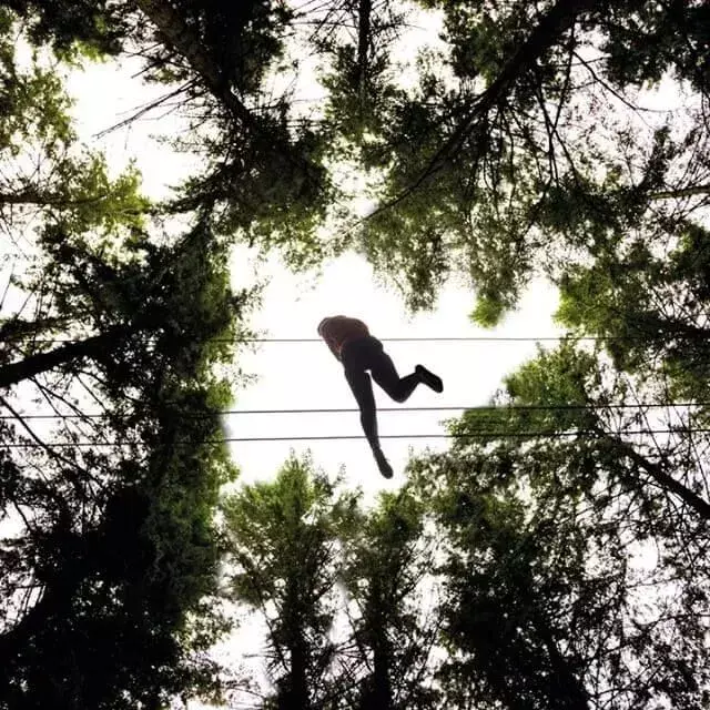 ниже снимок человека на высокой веревочной трассе между деревьями