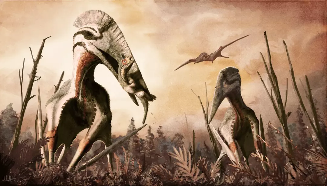 15 faktov Amaze-wing o Hatzegopteryx pre deti