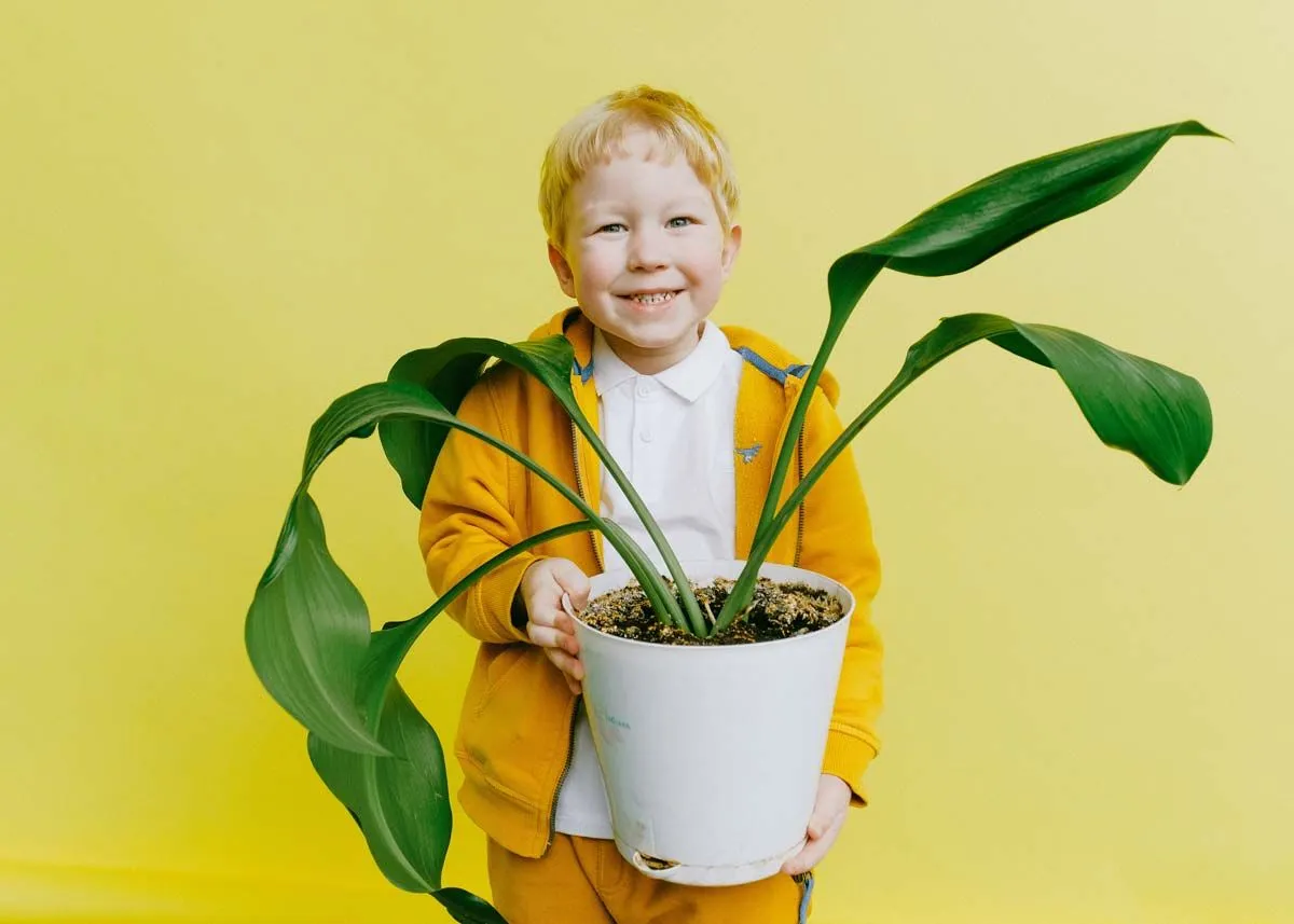 Jonge jongen lacht terwijl hij een plant omhoog houdt in een pot die voor een gele achtergrond staat.