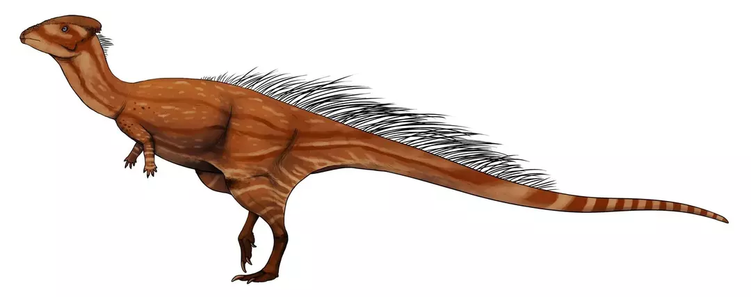 17 dejstev o dino-pršici Wannanosaurus, ki bodo otrokom všeč