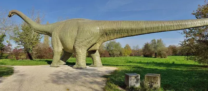 Seismosaurus havde et lille hoved, men en tung krop med en lang hals og hale.