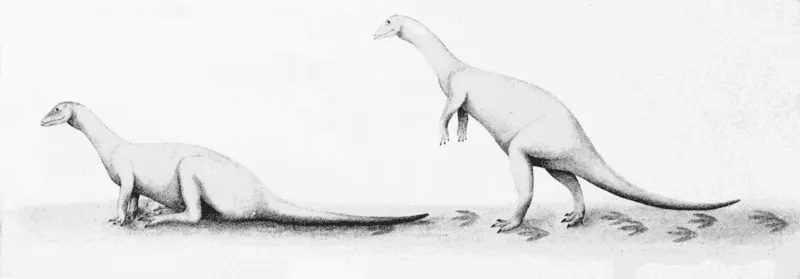 Linksmi nyctosaurus faktai vaikams