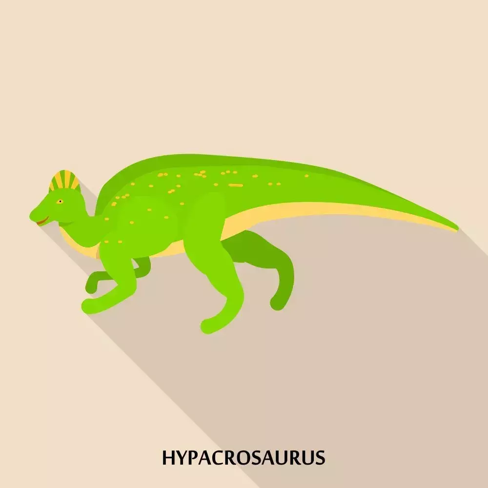 Hypocrasaurus altispinus, pomenovaný Brownom v roku 1913, bol nájdený v blízkosti oblasti Western Interior Seaway.