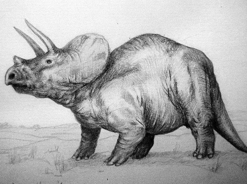 Diabloceratops: 19 činjenica u koje nećete vjerovati!