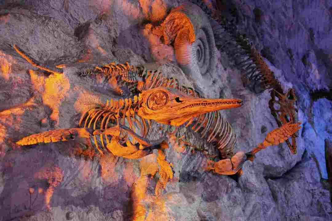 Открити са много отпечатъци и зъби на динозаврите