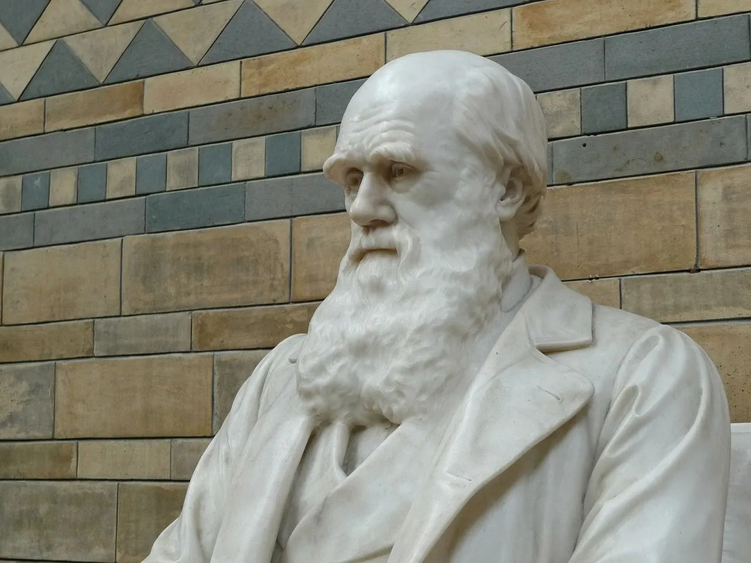 Ką padarė Charlesas Darwinas Įdomūs evoliucijos faktai