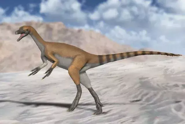 19 Roar-sommige feiten over de Velocisaurus waar kinderen dol op zullen zijn