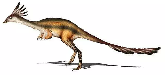 Achillesaurus era un gran dinosaurio alvarezsaurid con patas largas.