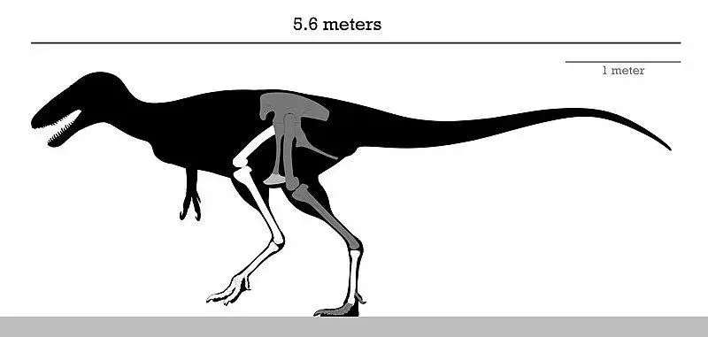 Alectrosaurus: 15 tény, amit nem fogsz elhinni!
