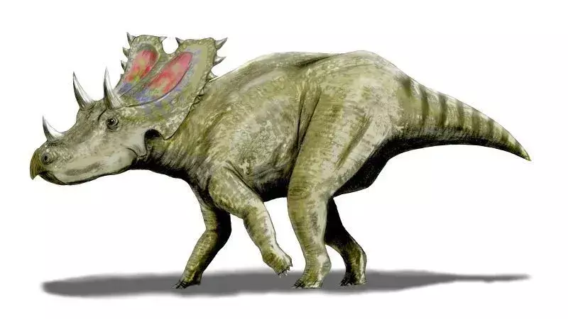 Agujaceratops: 17 حقيقة لن تصدقها!