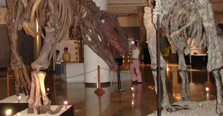 Limaysaurus: 17 तथ्य जिन पर आप विश्वास नहीं करेंगे!