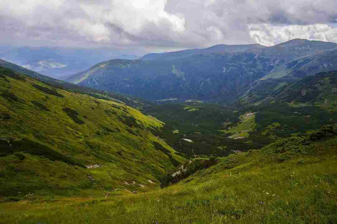 Carpathian Mountains 사실 신화 지리 생태계 등