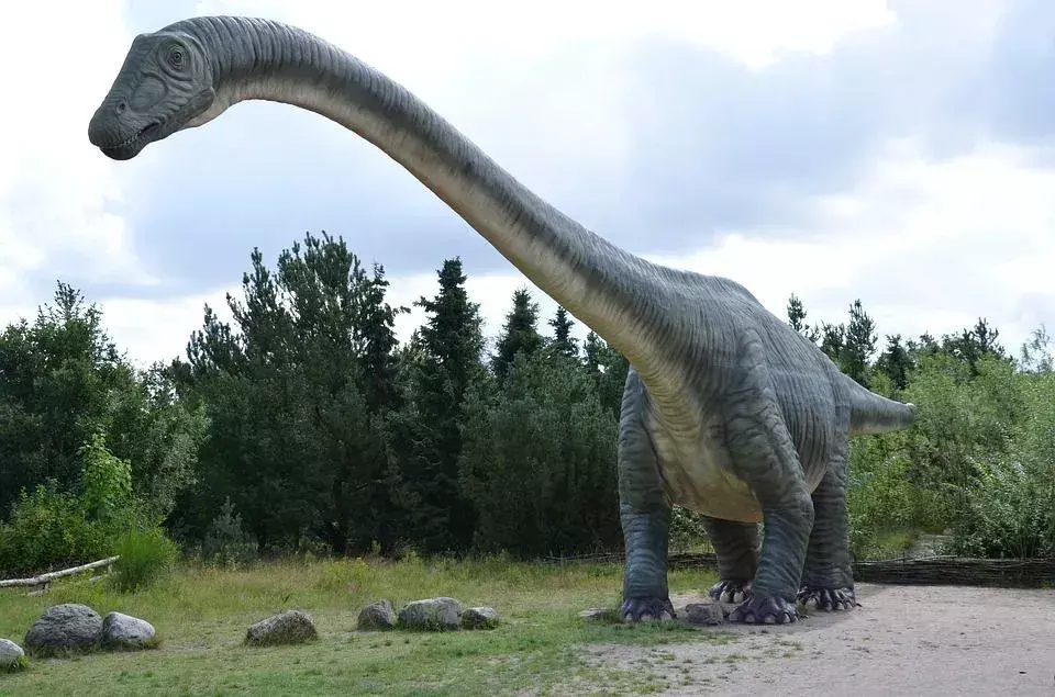 Ces faits rares sur l'Haplocanthosaurus vous feraient aimer.