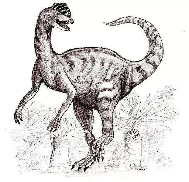 Piatnitzkysaurus: 15 ფაქტი, რომელსაც არ დაიჯერებთ!