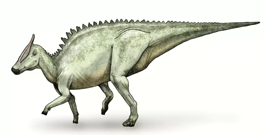 Vedel si? 15 neuveriteľných faktov o Saurolophusovi