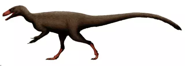 Wusstest du? 17 unglaubliche Euskelosaurus-Fakten