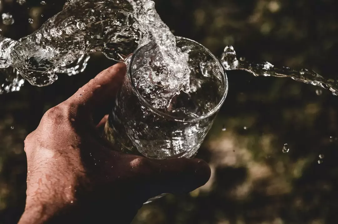 101 fapte distractive despre apă pentru copii: iată de ce apa este importantă!