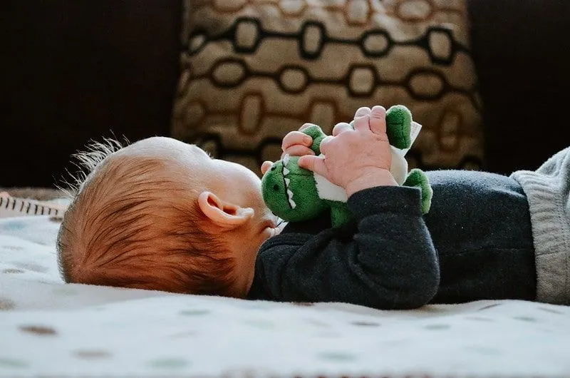 Baby som ligger på ryggen og ser bort og holder en utstoppet leketøysdinosaur.
