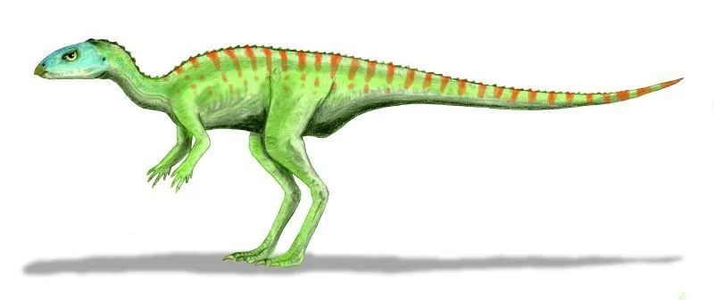 Интересные факты о Тринизавре для детей