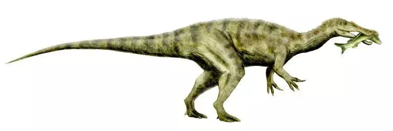 21 žandikaulio faktas apie Ostafrikasaurus vaikams