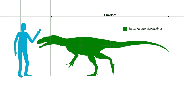 Le saviez-vous? 21 faits incroyables sur le Marshosaurus