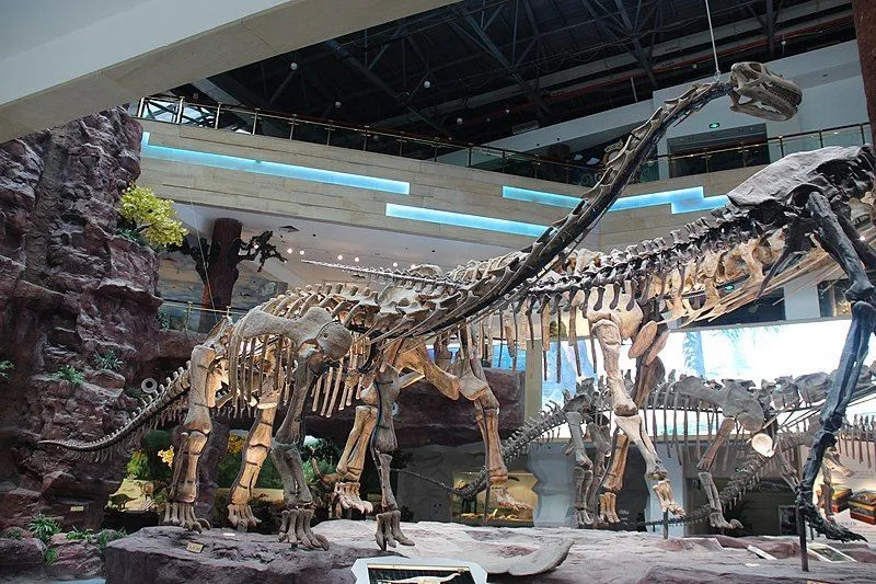 Забавни факти за Zigongosaurus за деца