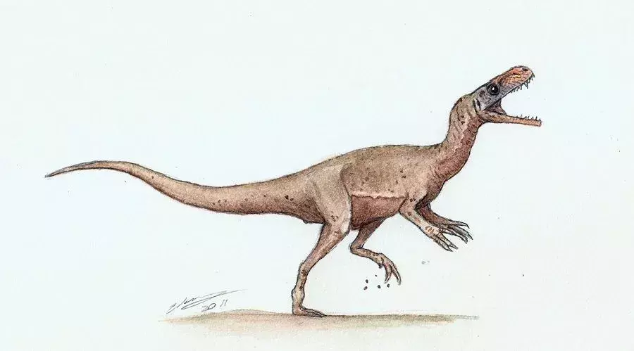 De ontdekking van het holotype-exemplaar van dit dinosaurusgeslacht werd gedaan in het huidige Argentinië.