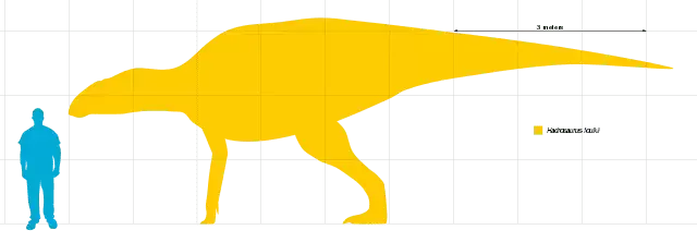 Dinosaurien Protohadros hade en bred mun och var släkt med arten Hadrosaurid.