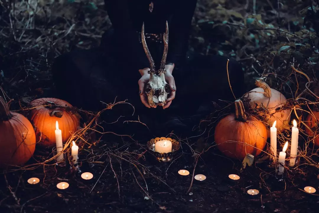 19 prekrasnih činjenica o vješticama koje će vas sigurno začarati