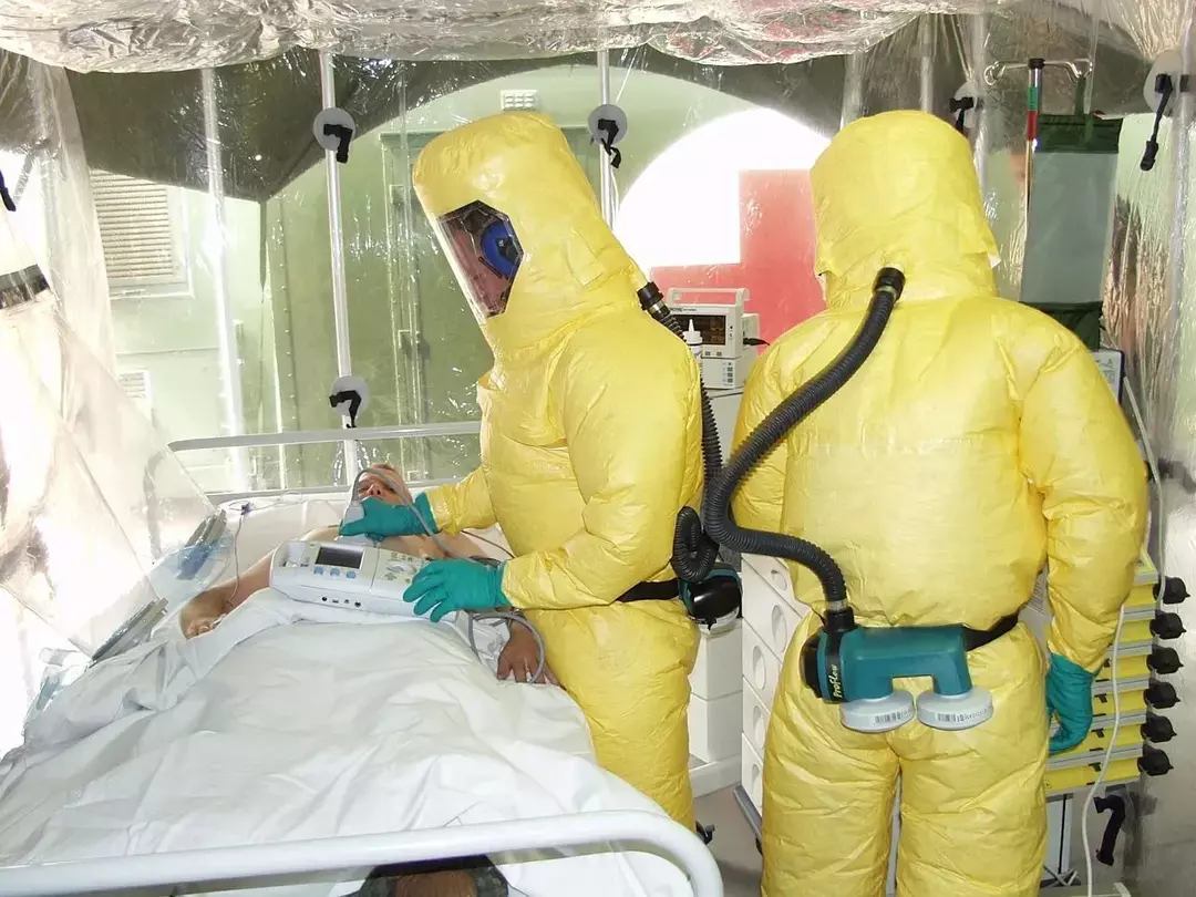 Galvojate apie pandemijas? 55 faktai apie Ebolą Afrikoje