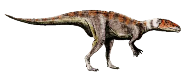 17 Dubreuillosaurus fakti, kurus jūs nekad neaizmirsīsit