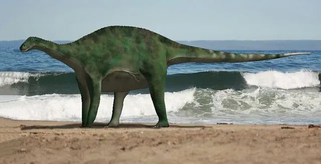 Brachytrachelopan má nejkratší krk z celého kladu Sauropoda