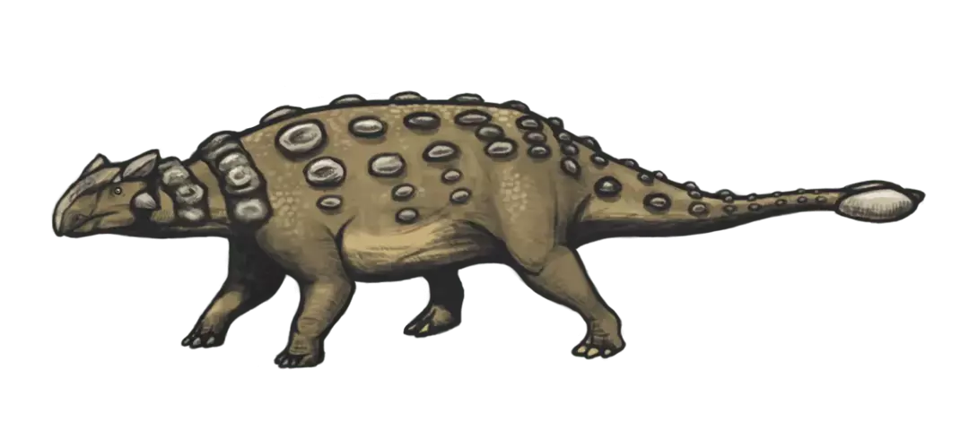 19 dejstev o dino-pršici Struthiosaurus, ki bodo otrokom všeč