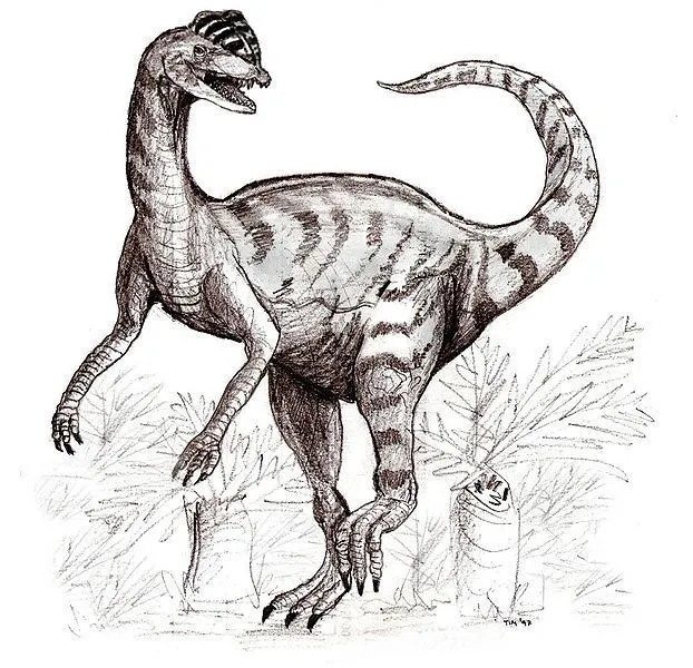 Roliga Piatnitzkysaurus-fakta för barn