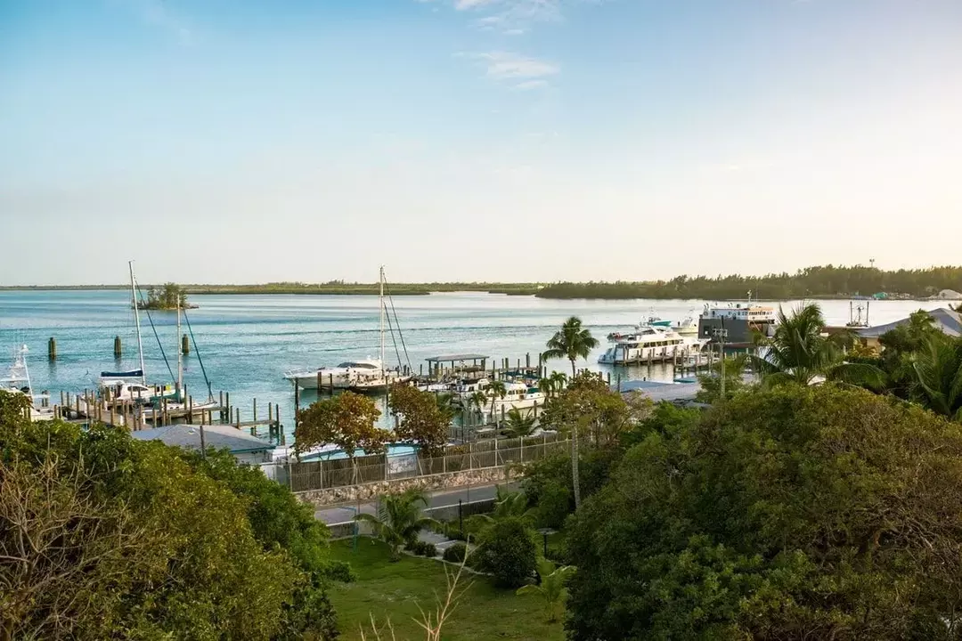 Bimini Island, grunnlagt av Juan Ponce de Leon, er nå kjent som Bahamas.