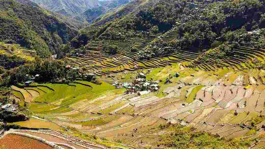 Faits intéressants sur la terrasse de riz de Banaue révélés sur les rizières
